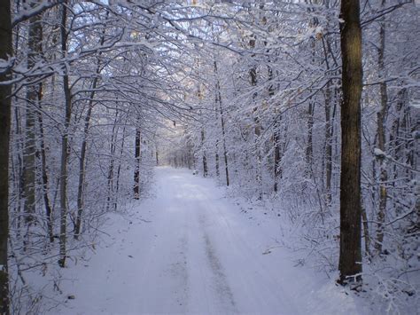 Winter Snow Path · Free Photo On Pixabay