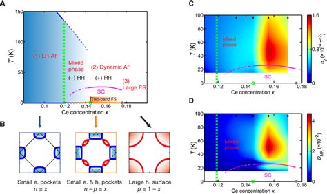 Hole Pocketdriven Superconductivity And Its Universal Features In The