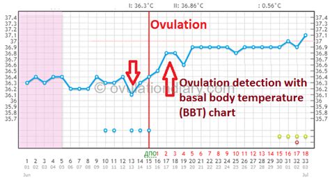 How To Detect Ovulation On Bbt Chart Chart Walls