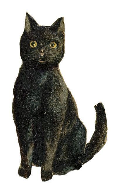 Vintage Black Cat Illustration Spooky Pinterest