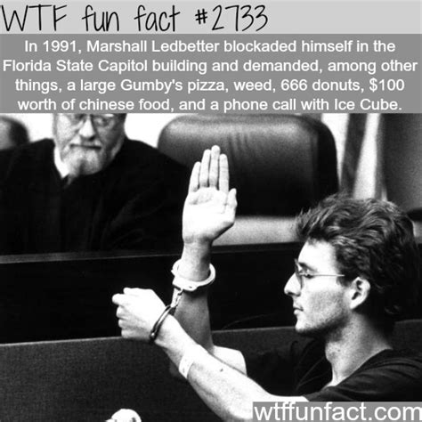 Wtf Facts Page 982 Of 1304 Funny Interesting And Weird Facts