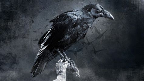 Dark Raven Wallpapers Top Những Hình Ảnh Đẹp