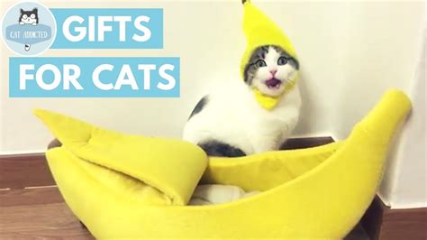 10 Cool Ts Your Cat Wants Youtube