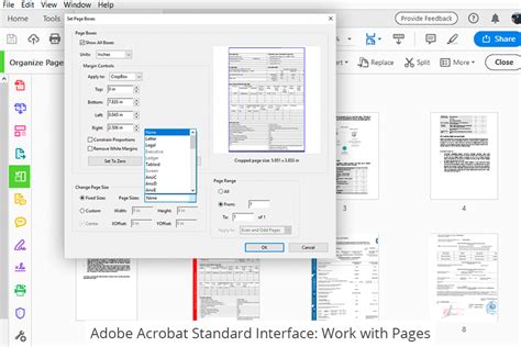 Adobe Acrobat Standard Vs Pro Comparison 2024
