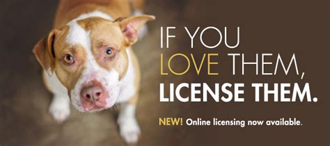 Whether you're licensing a new dog or renewing an old license, you can complete the application online. Dog Licensing and Application for Butte County