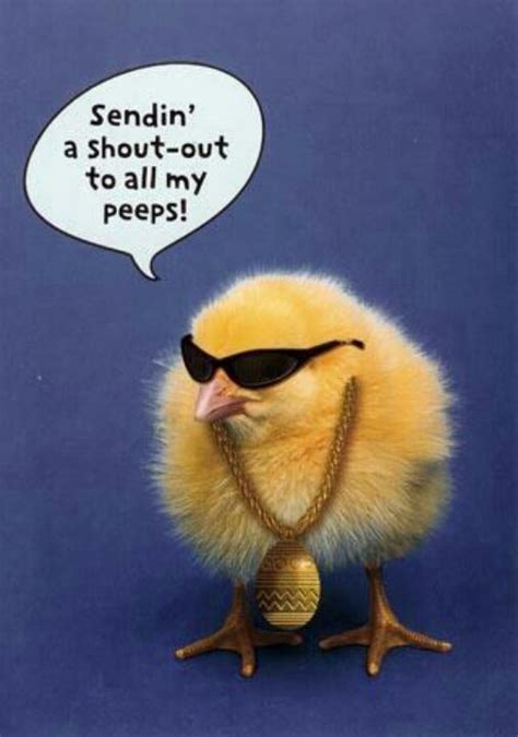 27 Best Easter Comic Humor Images On Pinterest Ha Ha Funny Stuff And