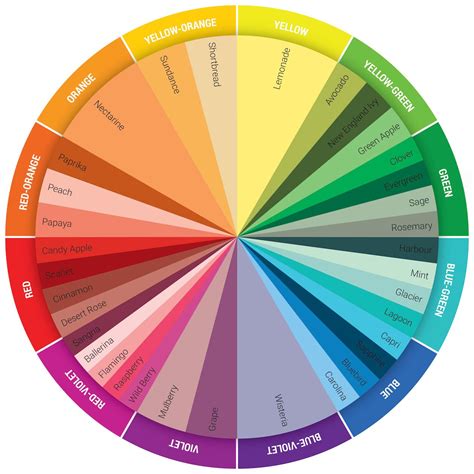 A Color Wheel With Different Colors In It