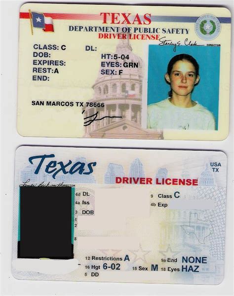 Free Printable Backseat Drivers License Pharmacyloced