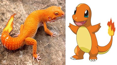 11 Pokemon That Actually Exist In Real Life Youtube