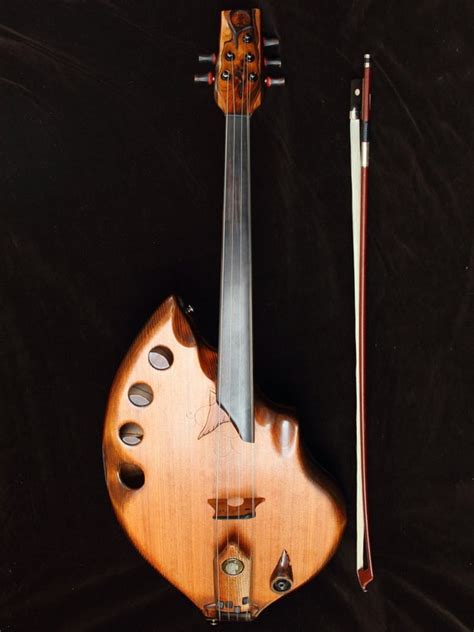 5 String Unique Acoustic Handmade Musical Instrument