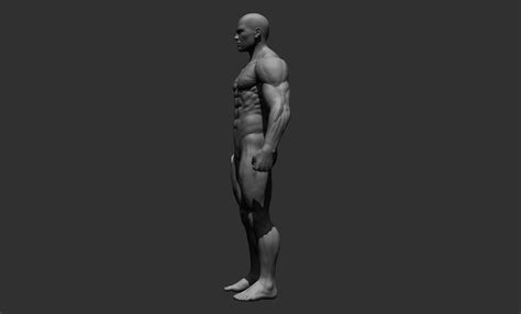 realistic male full body 3d model cgtrader