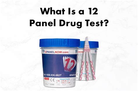 what is a 12 panel drug test 12 panel now