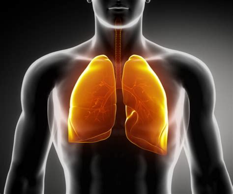 Enfermedades Respiratorias S Ntomas Diagn Stico Y Tratamiento