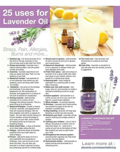 Lavender Oil Uses Tips And Tricks Pinterest