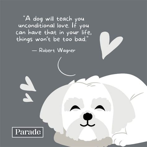 300 Best Pet Quotes To Share Your Love Parade Pets