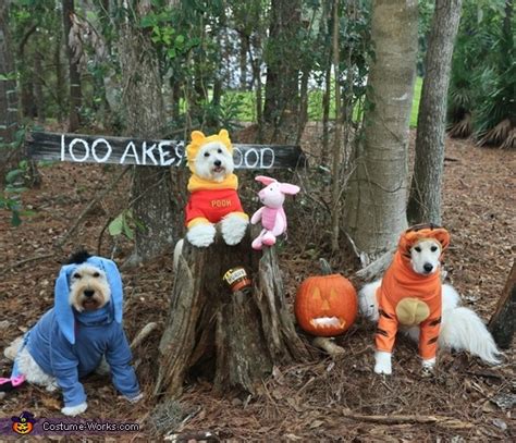 Winnie The Pooh And Friends Dogs Costume Diy Costumes Under 25