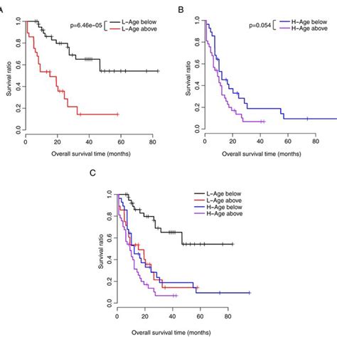 Km Survival Curves In The Low And High Risk Patient Groups A Km