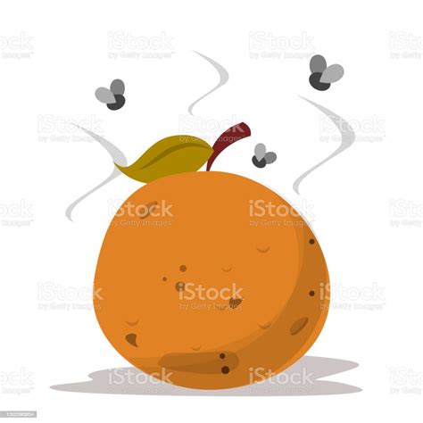 Bad Rotten Orange Food Waste Vector Isolated Stock Illustration
