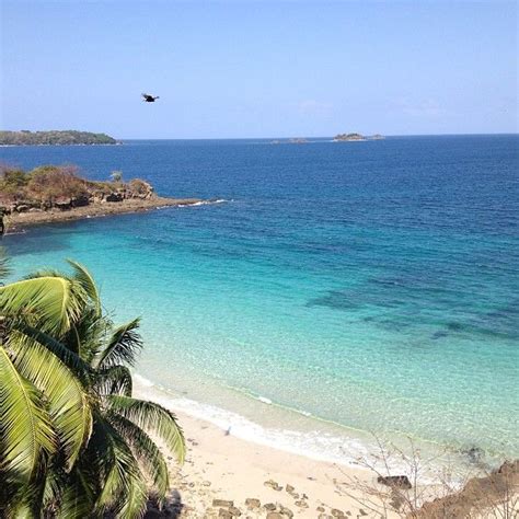 Online service planet of hotels offers to book residences in contadora. Isla Contadora | Panama travel, Panama city panama, San blas