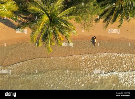 Aerial View Of The Lonely Beach In Koh Rong Island Cambodia Stock