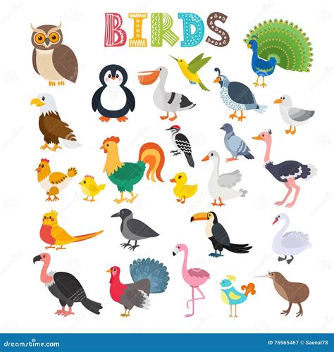 Vector Illustration Of Different Kind Of Birds Cute Cartoon Birds