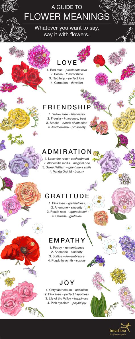 Flower Meanings Infographic Interflora Flower Meanings Flower Quotes Language Of Flowers