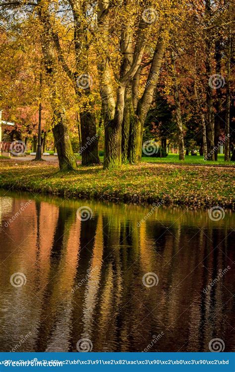 A Sad Autumn Park In Cloudy Weather Stock Photo Image Of Dull Branch