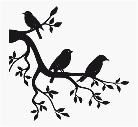 Birds On A Branch Drawing Today Ill Show You How To Draw A Super