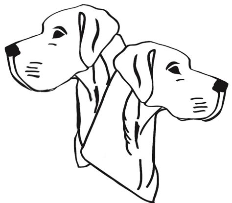 Prevent clicks on page when mobile menu is being shown. Great Dane Drawing at GetDrawings | Free download