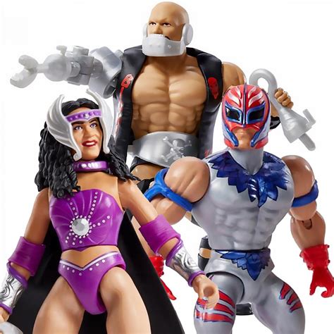 Wwe Masters Of The Wwe Universe Wave Action Figure Case Of