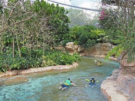 Why Discovery Cove Is One Of Orlandos Top Attractions