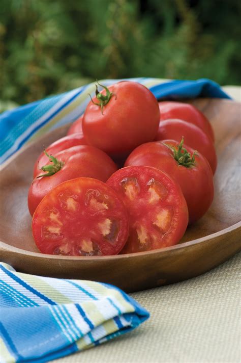 Tomato Sweet Seedless Garden Housecalls