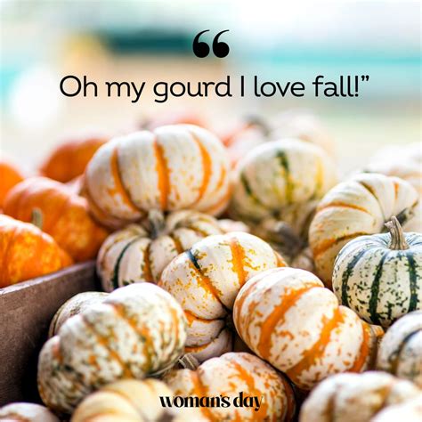 125 Best Fall Instagram Captions — Fall Caption Ideas And Puns