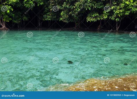Turquoise Reservoir In Sunlight Transparent Blue Water Of Wild Pond