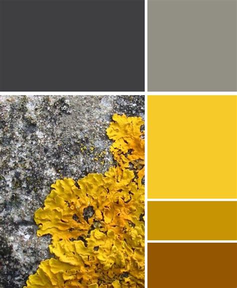Black And Yellow Color Scheme Luxury Color Palettes For Website