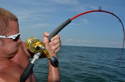 Light Tackle Fishing Distraction Charters