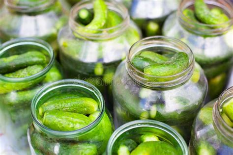 The Process Of Canning Pickled Gherkins For The Winter Pickles
