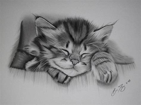 26 Best Images About Cats On Pinterest French Designers Cute Cat Drawing And Pencil Drawings