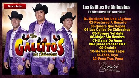 Los Gallitos De Chihuahua Disco Completo Quisiera Ser Una Lágrima