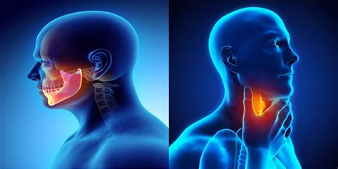 Oral Head And Neck Cancer Awareness Month Research