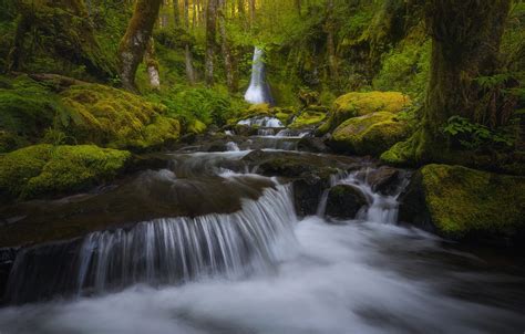 Wallpaper Forest Stream Waterfall Moss River Washington Images For