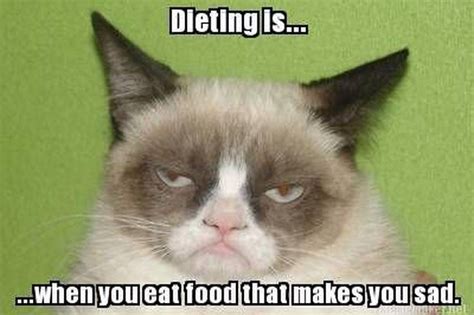 15 Animal Memes That Only People On Diets Will Get Cuteness