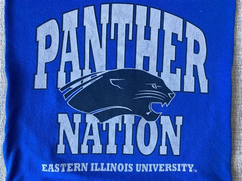 Eastern Illinois University Eiu Panthers T Shirt 16 X 16 Throw Pillow