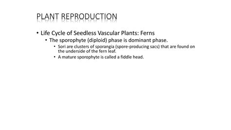 Plants Day Ppt Download