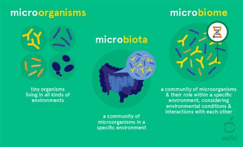 microbiome vs microbiota whats the difference for your gut bacteria porn sex picture