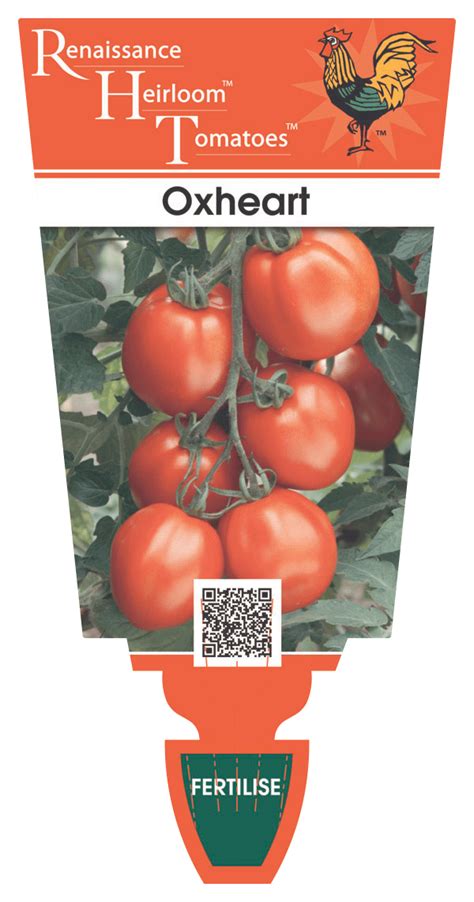 We did not find results for: Tomato Heirloom 'Oxheart' — Renaissance Herbs