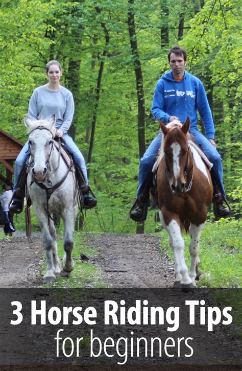 Which ones are right for you? 3 Horse Riding Tips For Beginners - Radek Libal
