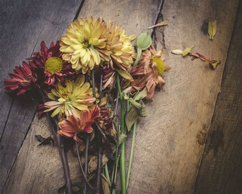 Dried Flowers 100 Things You Should Throw Away Donate Or Recycle