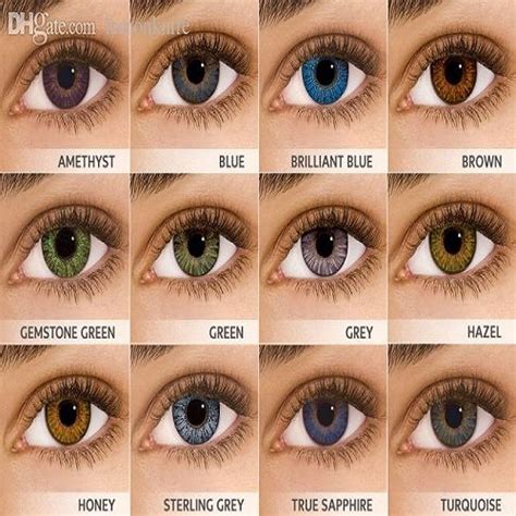 Blue Trivex Light Brown Contact Lenses Rs 450 Piece Shadow Opticals Private Limited Id