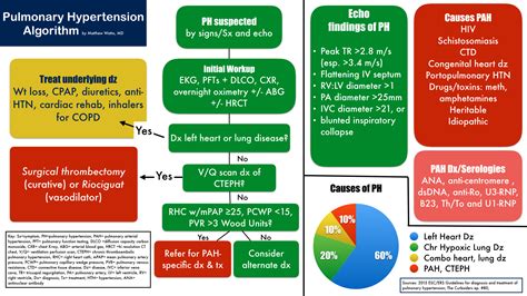Infographic Algorithm Pulmonary Hypertension The Curbsiders